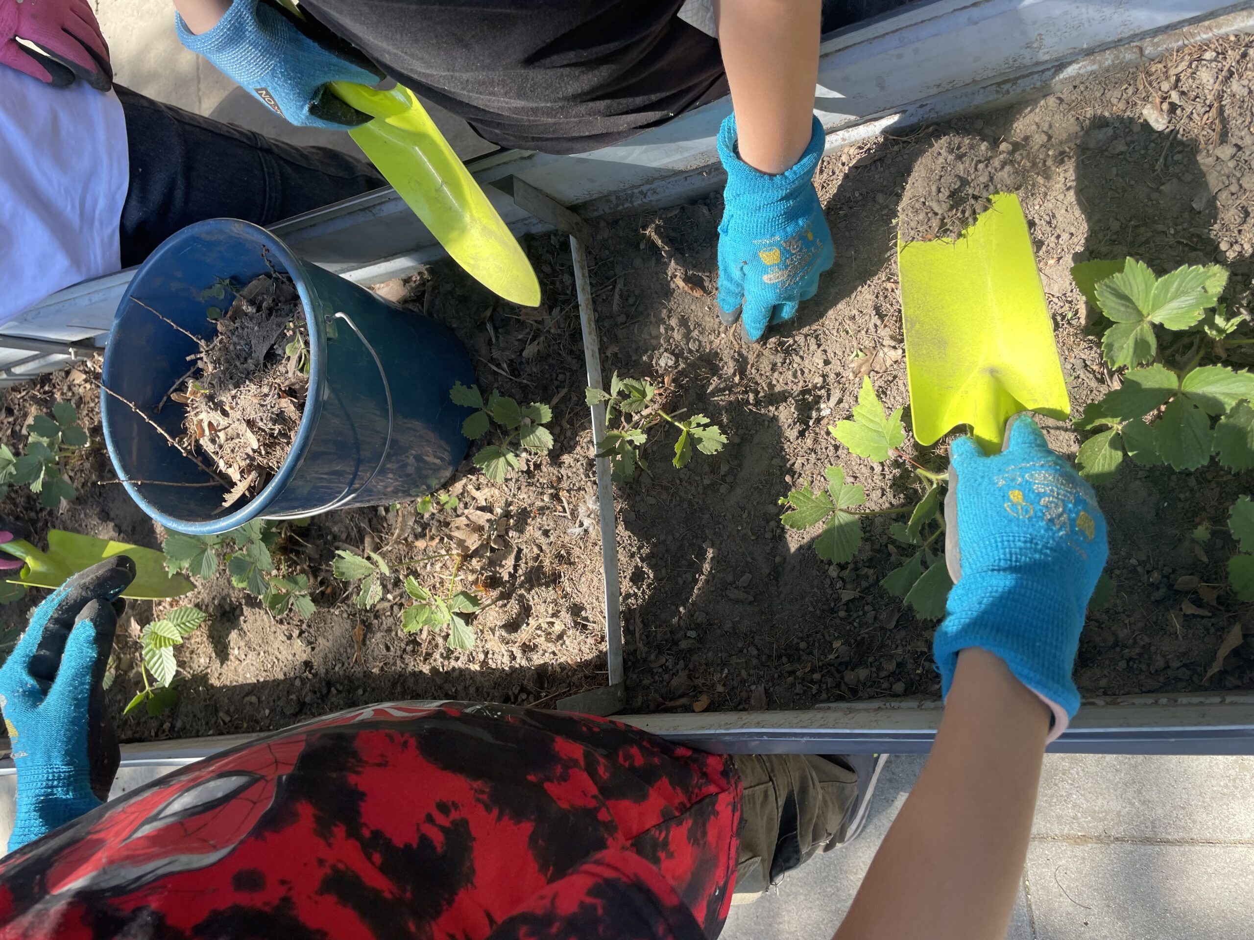 Start der Garten-AG