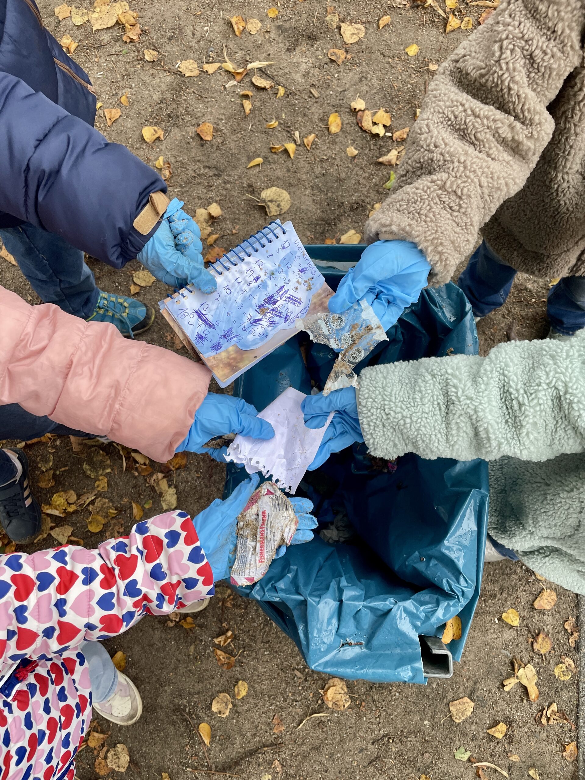 Die Dachse sammeln Müll 🚮🦡