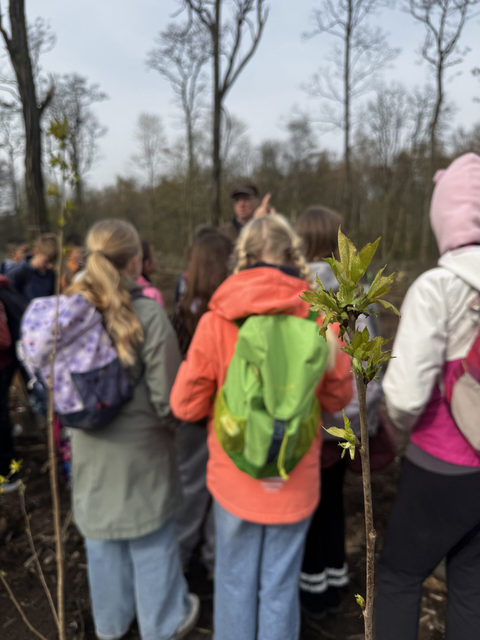 Baumpflanzaktion der 4. Klassen 🌱